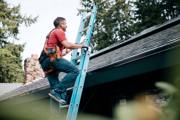 Best Roof Moss and Algae Removal  in Ligonier, IN